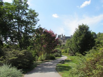trail in shrub garden