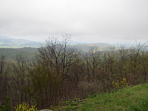 View from 3 knobs overlook