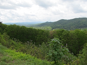 View of Haw Creek Valley