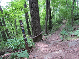 Barnett Branch Trail