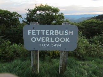 Fetterbush sign