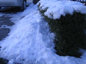 piled up snow