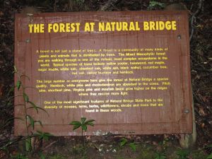 Forest information sign