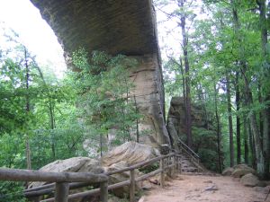 Natural Bridge trail to top