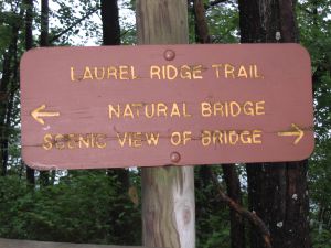 Laurel Ridge trail sign