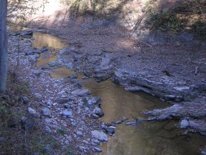 creek 2