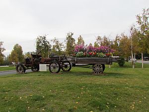 wagon of glowers