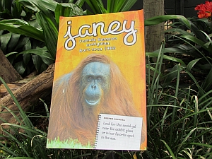 Janey sign