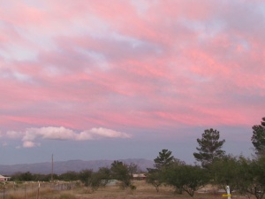 pink & white clouds
