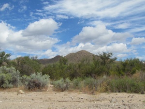 trail view