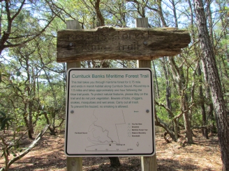 maritime forest sign