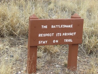 beware of snakes